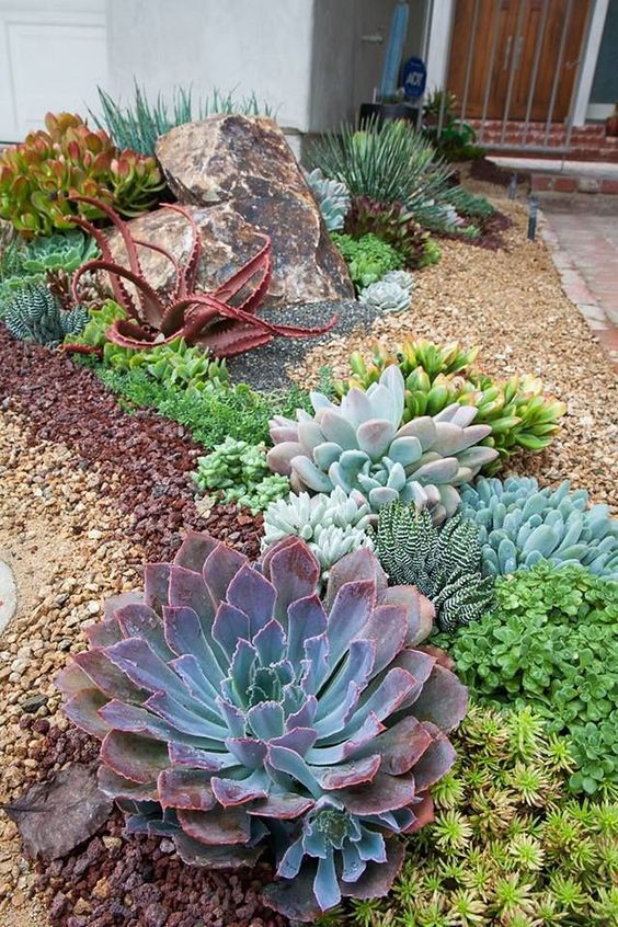 59 Catchy Outdoor Succulent Garden Ideas - DigsDi