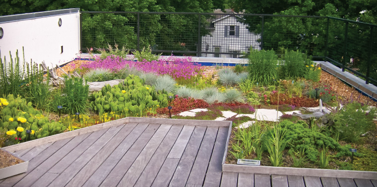 Landscaping for Sustainability | Ens