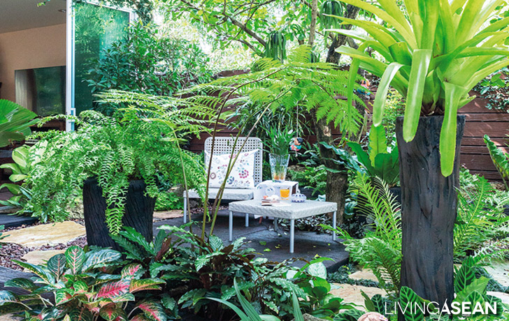 Tropical Garden for Extended Family /// Living ASE