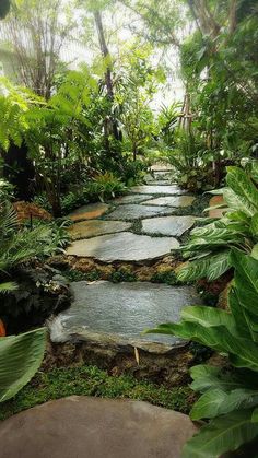 440 Best Tropical garden design ideas | tropical garden design .