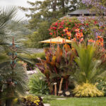 Grow Your Paradise: Tropical Garden Design Ide