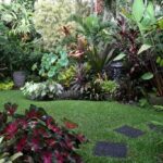 How to Create a Tropical Garden - Tristan Smith Landscape Desig