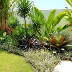 Tropical Garden Oasis in Ba