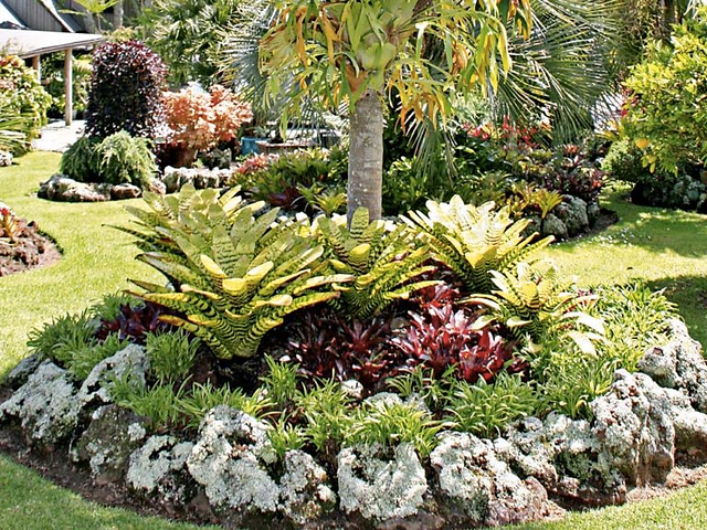 20 Tropical Garden Design Ideas for a Vacation Vibe at Home in .