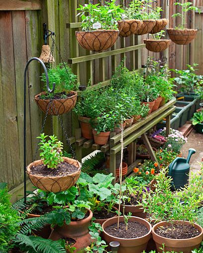 25 Best Vegetable Garden Layout Ideas for Your Ya