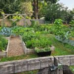 Vegetable Garden Design Basics - Forks in the Di