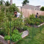 Vegetable Garden Layout Planning | Bonnie Plan