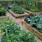 25 Incredible Vegetable Garden Ideas | Trees.c