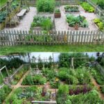 Vegetable Gardening for Beginners: Essential Tips & Hacks .