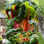 Small vegetable garden ideas: 15 ways to maximize your space