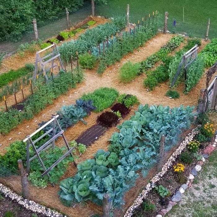 11 Vegetable Garden Ideas | The Family Handym