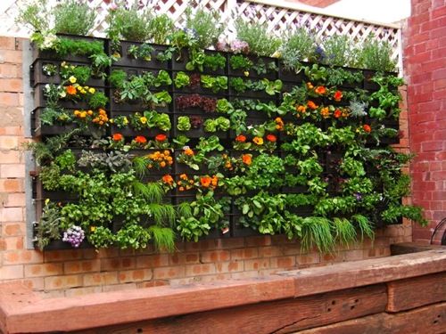 100 Best Vertical Garden Planters ideas | vertical garden .