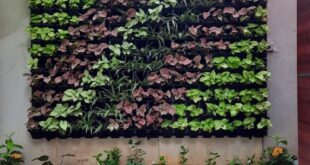 Vertical Garden Setup | Vertical garden design, wall planters .