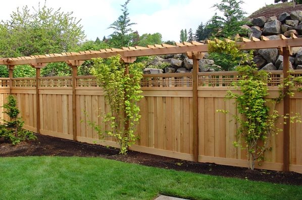 Backyard Fencing Ideas - Landscaping Netwo